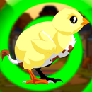 Pinto Confuso - 15 fpts